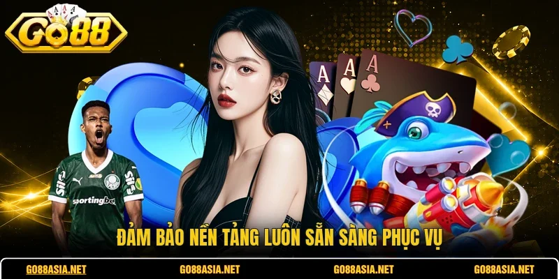 Đảm bảo nền tảng luôn sẵn sàng phục vụ